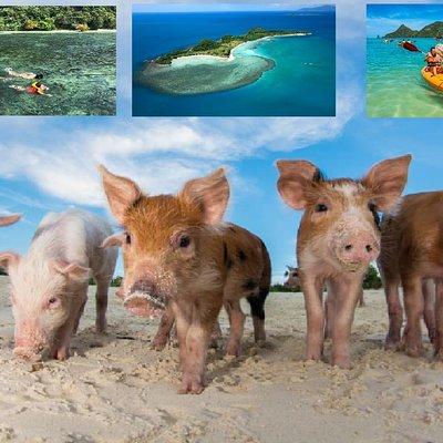  Pig Island Experience By Speed Boat, Snorkeling, Kayaking Relaxing on the Beach