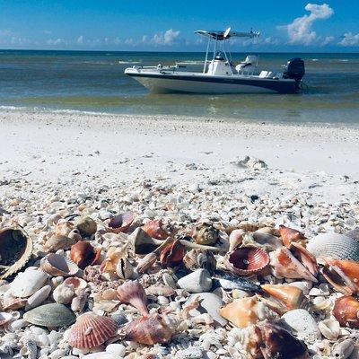 Shelling Tours - Fort Myers Beach / Naples