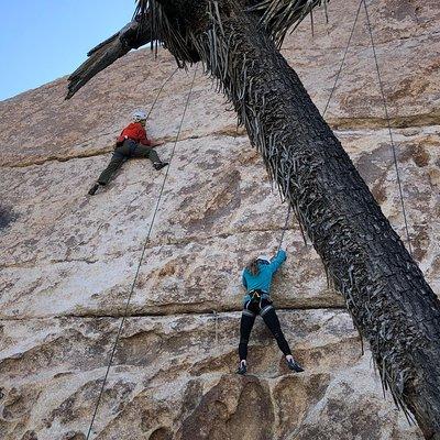 Beginner Group Rock Climbing in Joshua Tree National Park