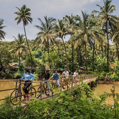 Village Vibes: Cansaulim Coastal E-Bike & Japanese Tea Tour