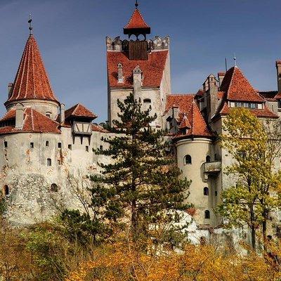 Dracula Castle, Peles Castle & Brasov-Private Tour from Bucharest