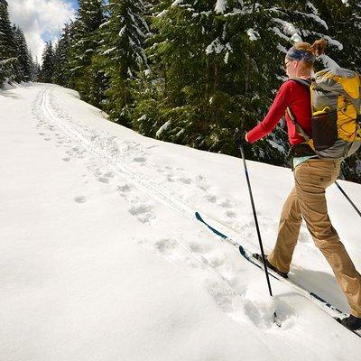 Half-Day Guided Backcountry Ski Touring Experience near Incline Village