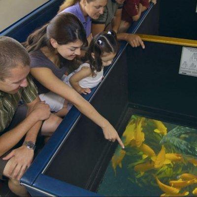 Glass Bottom Boat: Catalina Island Tour