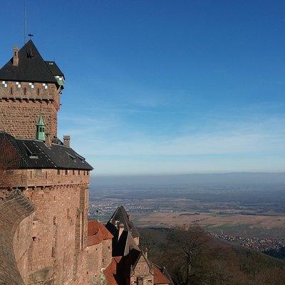 The Emblematic: visit of villages, Haut-Koenigsbourg, Wine tasting