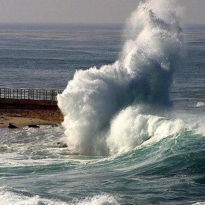 A Local’s Guide to La Jolla’s Sights: A Self-Guided Urban Stroll