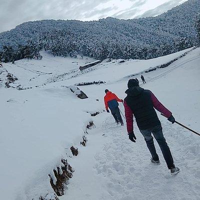 Nagtibba Trek (Dehradun to Dehradun)