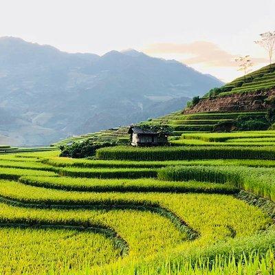 Discover the Beauty of Sa Pa: A One-Day Trek