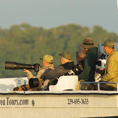 Two-Hour Everglades National Park Dolphin, Birding and Wildlife Boat Tour