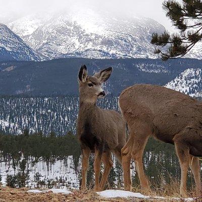 Lower Valley Tour RMNP