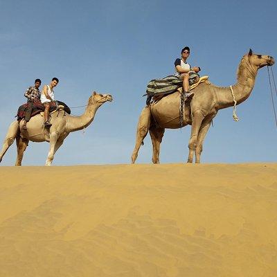 SR Camel Safari Tour Osian-Jodhpur