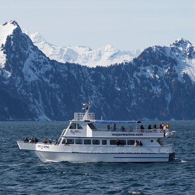 Spring Wildlife Cruise