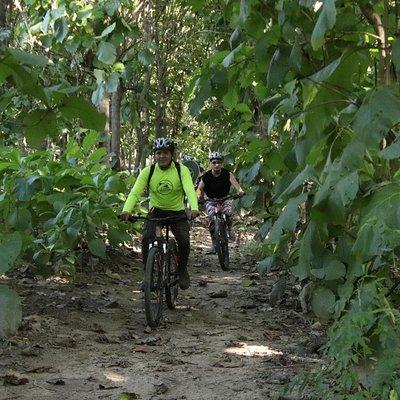 Jungle Bike Tour