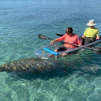 Clear Kayak Tour in Jupiter