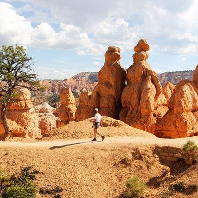 Bryce Canyon & Zion National Parks from Vegas, Lunch, Free WiFi