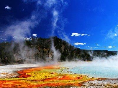 Yellowstone Private Lower Loop Adventure with Lunch