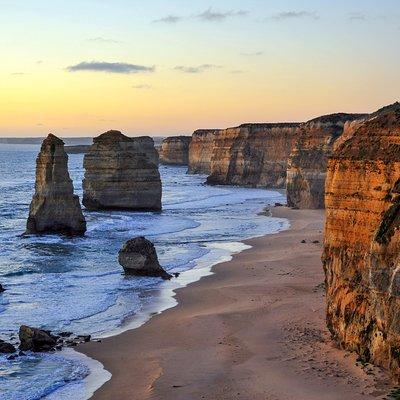 Great Ocean Road Tour Plus Koalas, Forest Walk and Morning Tea