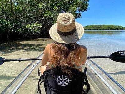 Clear Kayak Tour of Shell Key Preserve and Tampa Bay Area