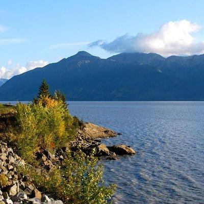 Seward to Anchorage Cruise Transfer and Private Tour