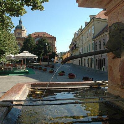 Private Day Tour to Fruska Gora Monasteries, Sremski Karlovci and Novi Sad