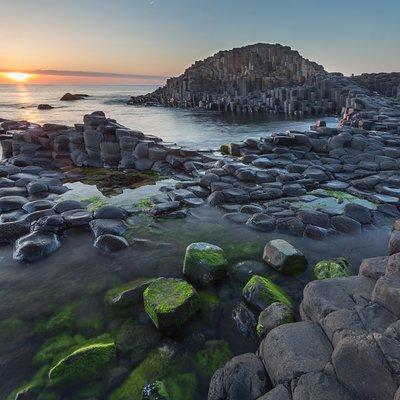 Giants Causeway, Rope Bridge, Carrickfergus Castle and Dark Hedges Tour