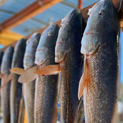 Private Bay Fishing South Padre Island