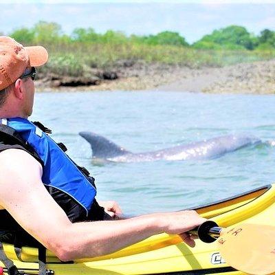 2-Hour Guided Kayak Eco Tour in Charleston