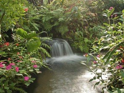 Butterfly Rainforest at Florida Museum of Natural History Ticket