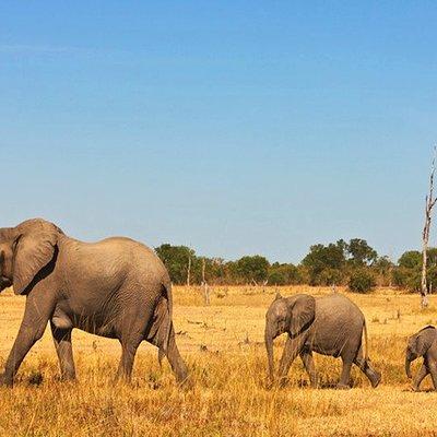 3 Days, 2 Nights Safari - Amboseli National Park and Tsavo West Adventure Safari