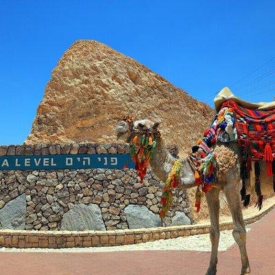 Haifa Shore Excursion: Private Jerusalem and Dead Sea Day Trip