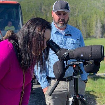 Private Yellowstone Wildlife Sightseeing Tour