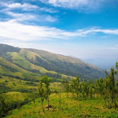 Day Trip to Chikmagalur (Guided Sightseeing Tour by Car from Mysore)