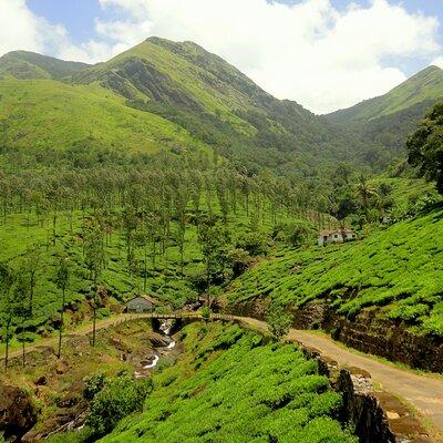 Day Trip to Wayanad (Guided Private Sightseeing Experience from Mysore)