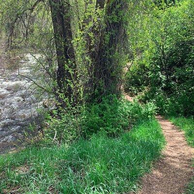 Leisure Hike - East Aspen Hunter Creek 