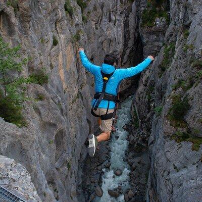 Canyon Swing with OUTDOOR