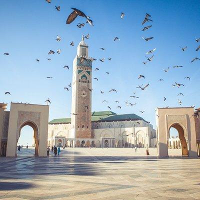 From Rick’s Café to Royal Palaces: A Casablanca Adventure