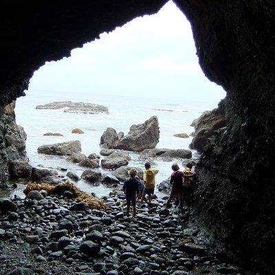 Pirate Sea Cave Tide Pool Walk at Dana Point