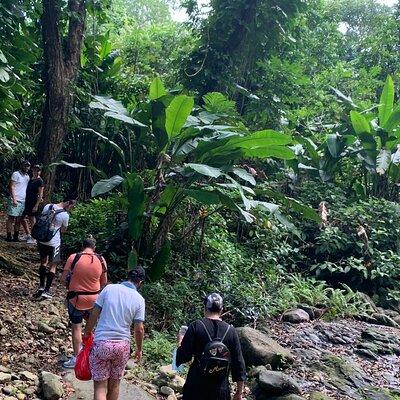 El Yunque National Forest and Luquillo Beach Tour