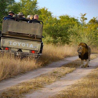 South Africa: See & Experience it ALL in 12 Days, 1st Class Custom Tours