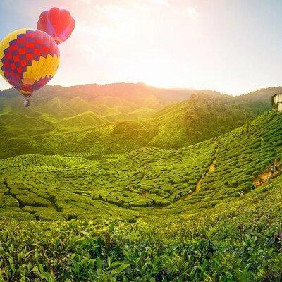 Full Day Cameron Highlands Nature Tour with Hobbitoon Village