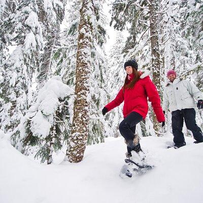 Medicine Trail Snowshoe Tour 