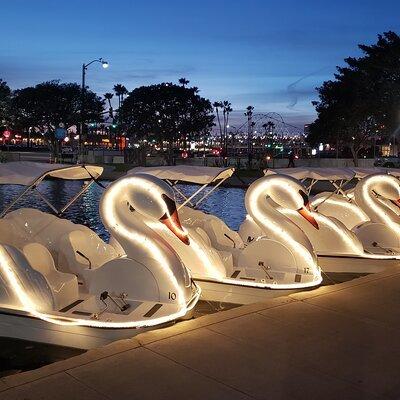 Illuminated Swan Boat Night Ride on Rainbow Lagoon