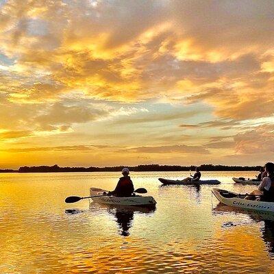 Sunset Tour Mangrove, Dolphins, Manatee #1 Rated in Cocoa Beach