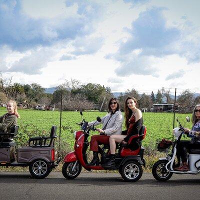 Sonoma Wine Country Electric Trike Tour - 3 hours