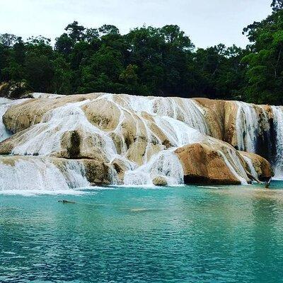 Full Day at Agua Azul Waterfalls, Misol Ha and Palenque