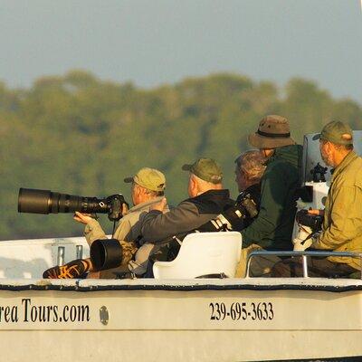 Private Everglades National Park Photography, Birding and Wildlife Safari