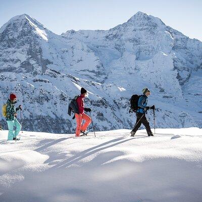 Snowshoe Tour Isenfluh