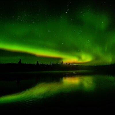 3 Days Tour Fall Color in Yukon from Whitehorse