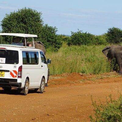 3 Days Maasai Mara Guided Safari from Nairobi