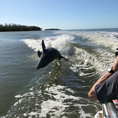 Everglades Day Safari from Ft Lauderdale