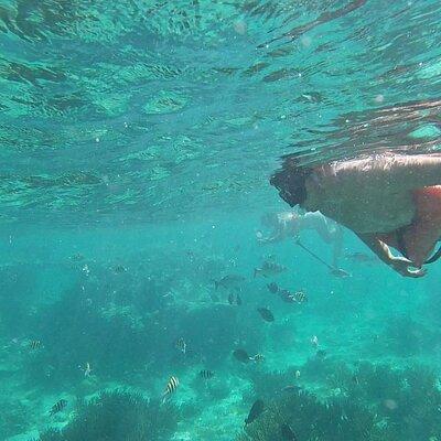 Isla Mujeres Snorkeling Adventure at the Underwater Museum